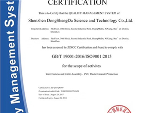 ISO9001 英文版